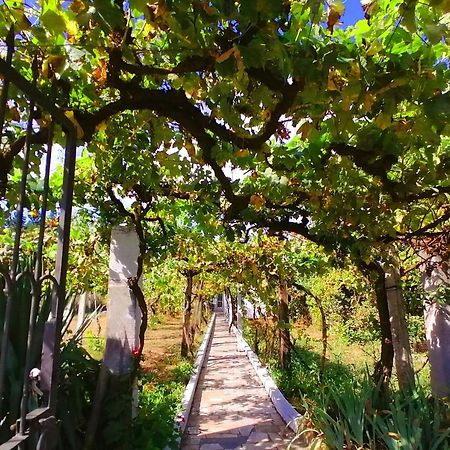 蒙福特·德·莱蒙斯Morin Grey Casa En El Corazon De La Ribeira Sacra别墅 外观 照片