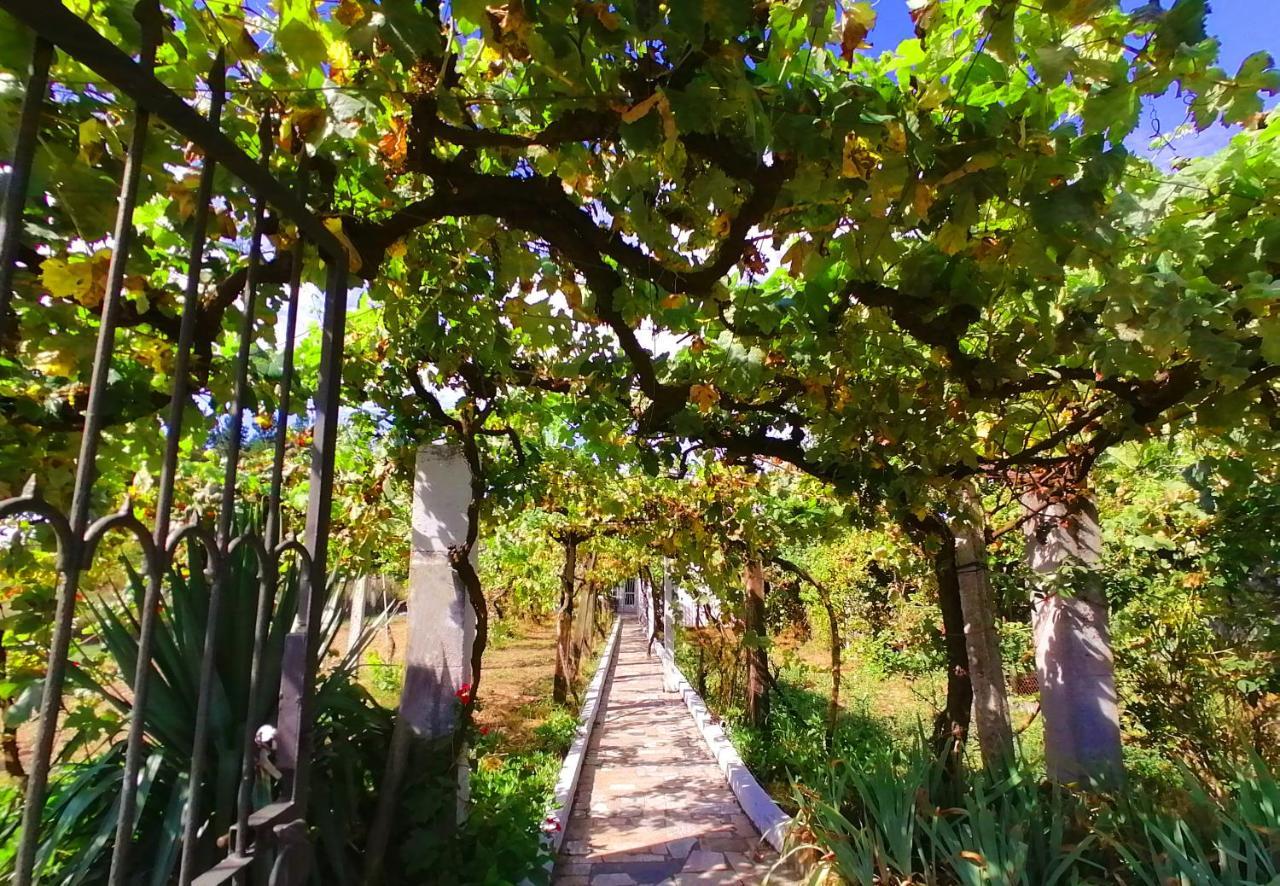 蒙福特·德·莱蒙斯Morin Grey Casa En El Corazon De La Ribeira Sacra别墅 外观 照片
