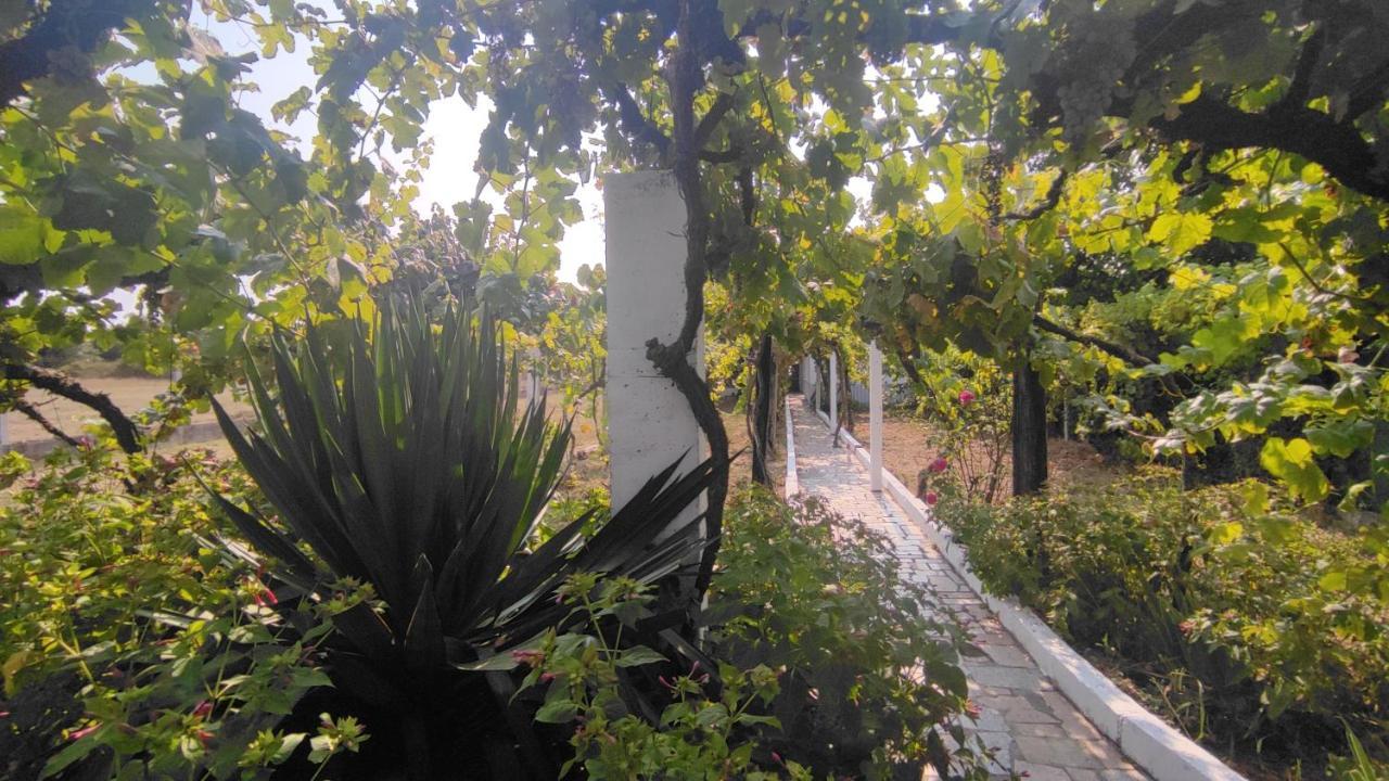 蒙福特·德·莱蒙斯Morin Grey Casa En El Corazon De La Ribeira Sacra别墅 外观 照片