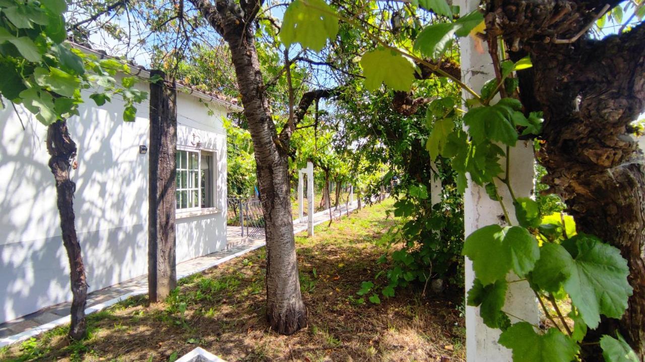 蒙福特·德·莱蒙斯Morin Grey Casa En El Corazon De La Ribeira Sacra别墅 外观 照片