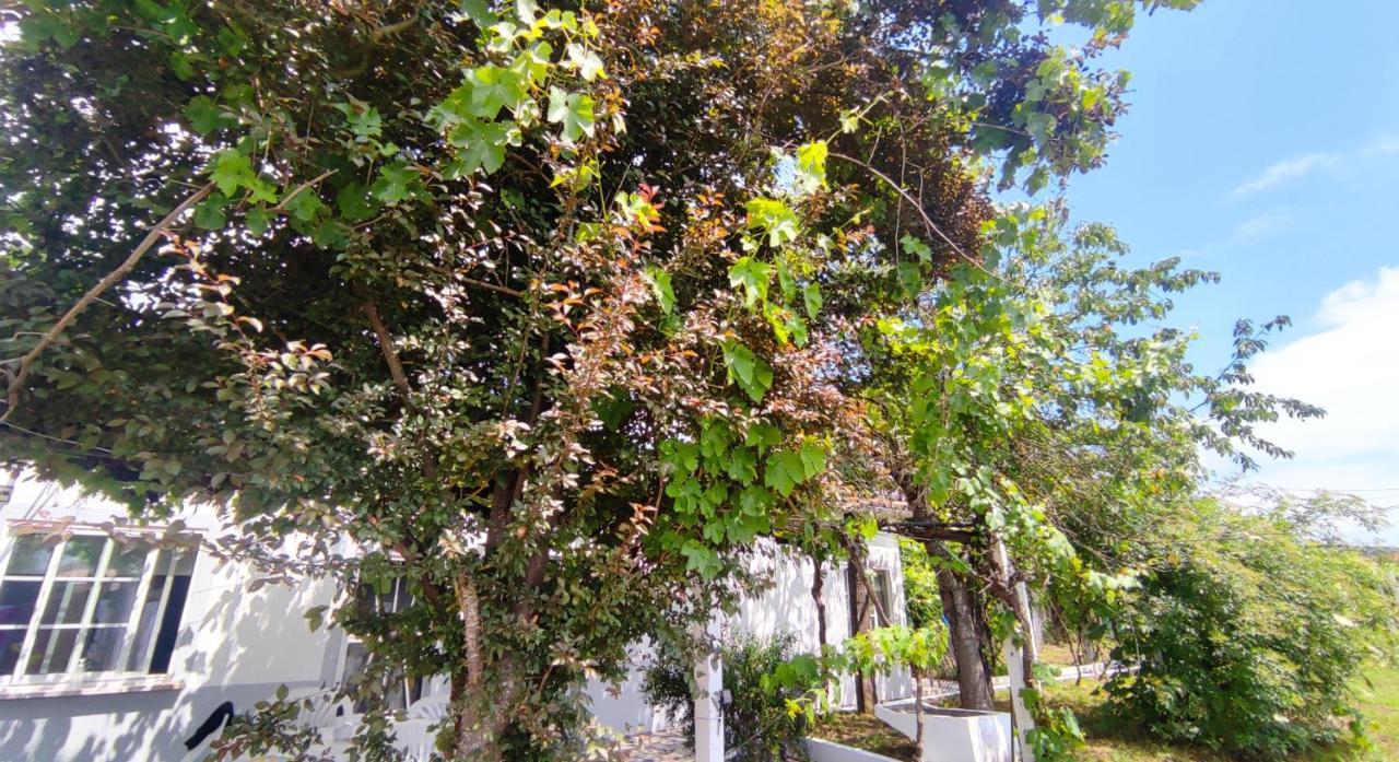 蒙福特·德·莱蒙斯Morin Grey Casa En El Corazon De La Ribeira Sacra别墅 外观 照片